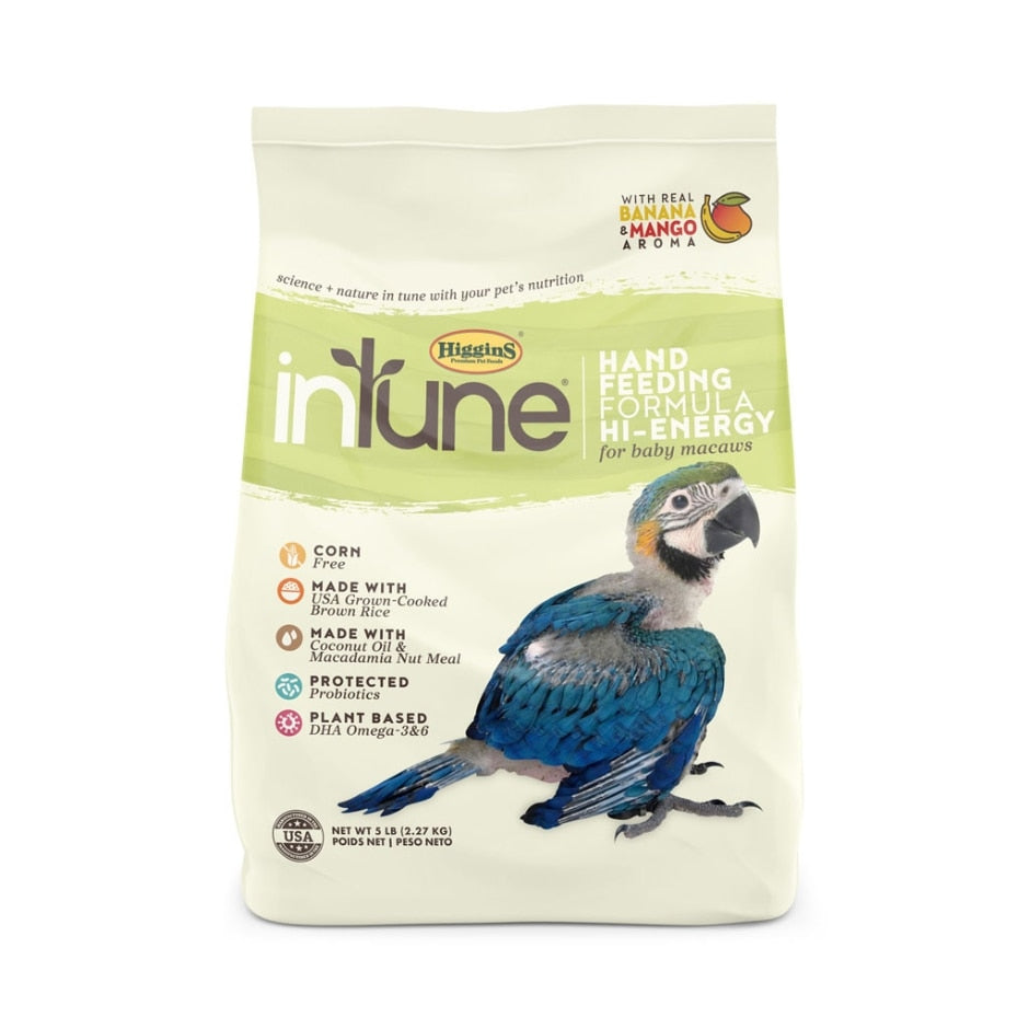 Bird Dry Food HIGGINS George Town Cayman Islands Savannah Cayman Islands Animal House