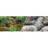 BLUE RIBBON BACKGROUND DOUBLE-SIDED RAINFOREST/BOULDERS