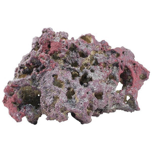 CARIBSEA LIFE ROCK SHELF ROCK