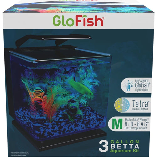 GLOFISH BETTA GLASS AQUARIUM KIT